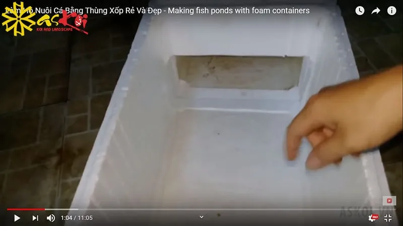Làm bể cá bằng thùng xốp xi măng