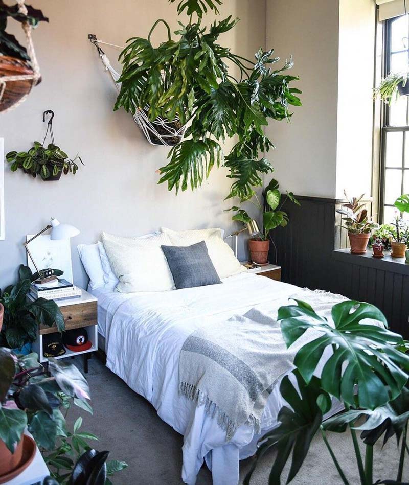 Bố trí cây xanh giúp phòng ngủ trở nên gần gũi với thiên nhiên hơn