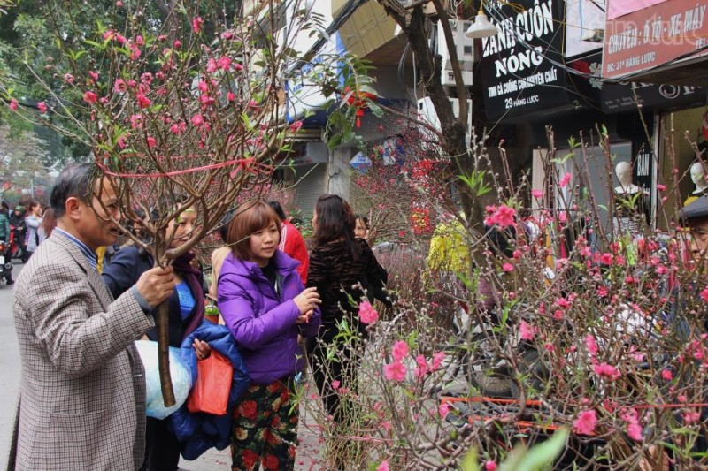 5 địa điểm bán hoa đào ở Hà Nội đẹp không nên bỏ qua - Ảnh 6.
