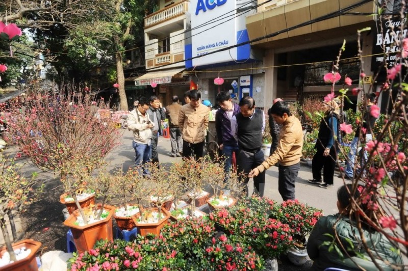 5 địa điểm bán hoa đào ở Hà Nội đẹp không nên bỏ qua - Ảnh 4.