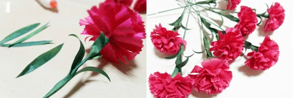 Cách làm hoa cẩm chướng bằng giấy nhún đẹp y như thật 6