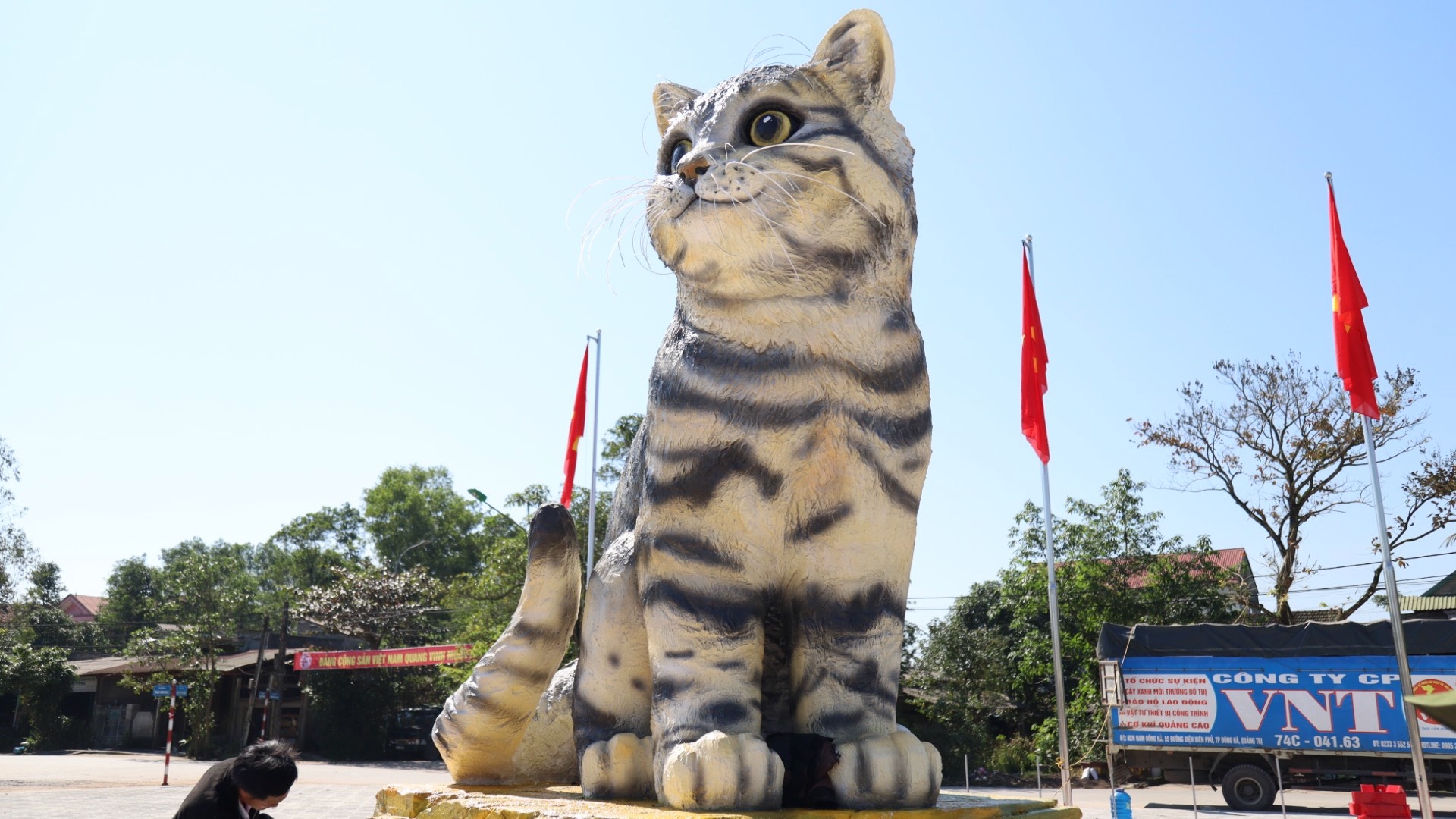'Hoa hậu mèo' ở Quảng Trị giá chỉ 31 triệu: ảnh 2