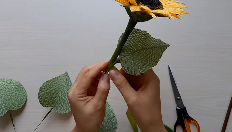 Dùng băng keo xanh để đính chiếc lá lên cành hoa