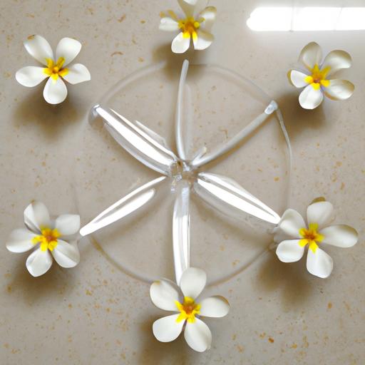 Cách sáng tạo để sử dụng những bông hoa 5 cánh để trang trí trong nhà.