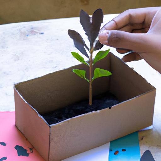 Một người sử dụng hộp giấy tái chế làm chậu trồng cây. Tạo ra hình ảnh họ trồng một cây nhỏ trong hộp.