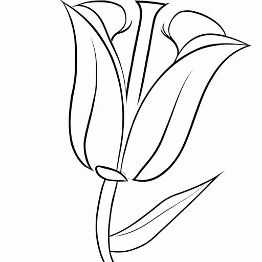 Hoa tulip vẽ tay với những chi tiết tinh xảo